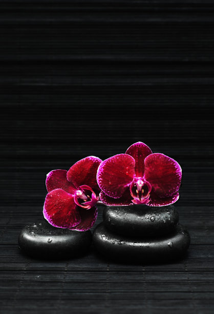 水疗中心的概念图片下载