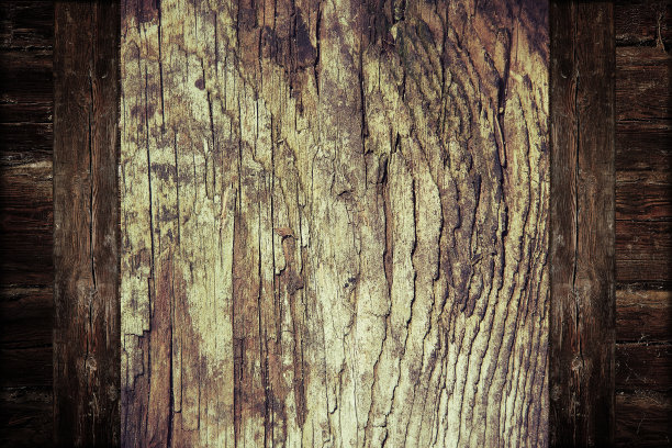 木头的纹理图片下载