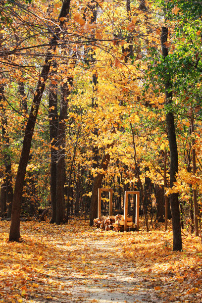 秋天的季节图片下载
