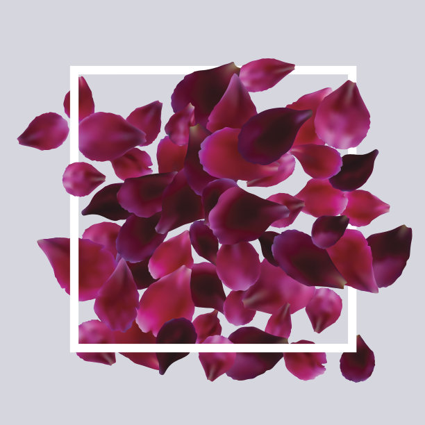 浪漫的背景与红色，粉红色的玫瑰花瓣图片下载