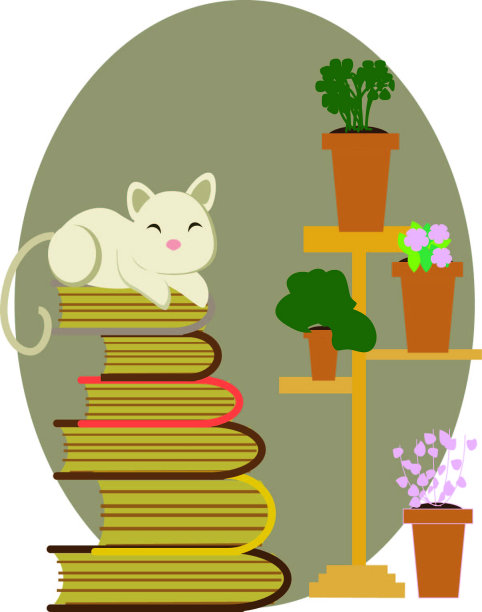 睡觉的猫图片下载