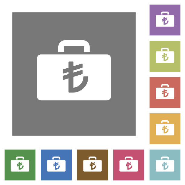 土耳其里拉袋方形扁平图标图片下载