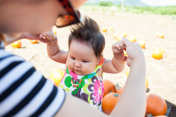 母亲和孩子在当地的南瓜地里挑选一个南瓜过节图片下载