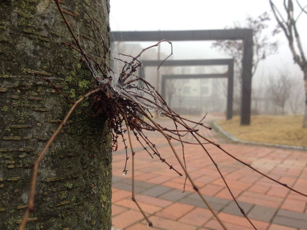 凌晨风景图片下载