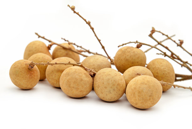 龙眼。白底新鲜龙眼素材图片