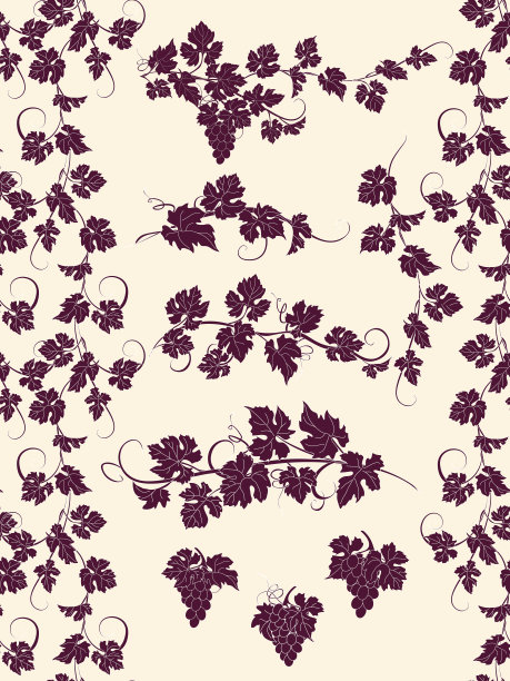 葡萄藤无缝装饰和设计元素。图片下载