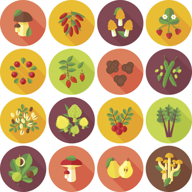 一套扁平的设计图标的水果和蔬菜。图片下载