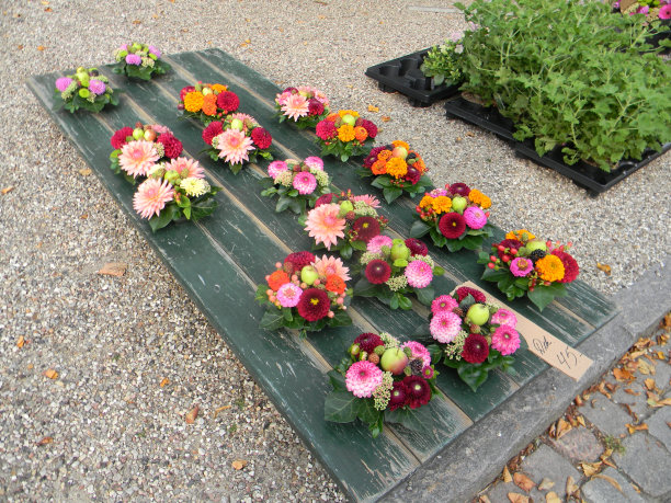 鲜花销售图片下载