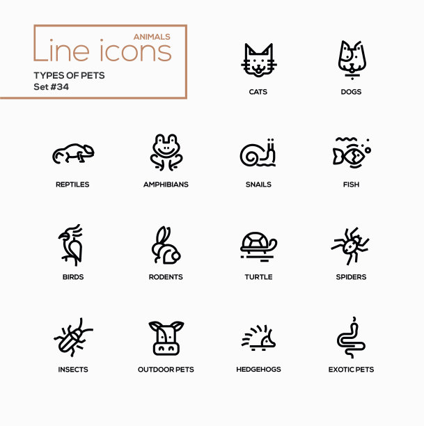 宠物的类型-现代向量单线图标集图片下载