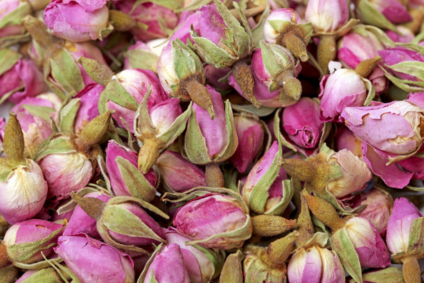 茶背景玫瑰图片下载