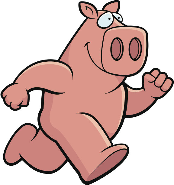 猪跑图片下载