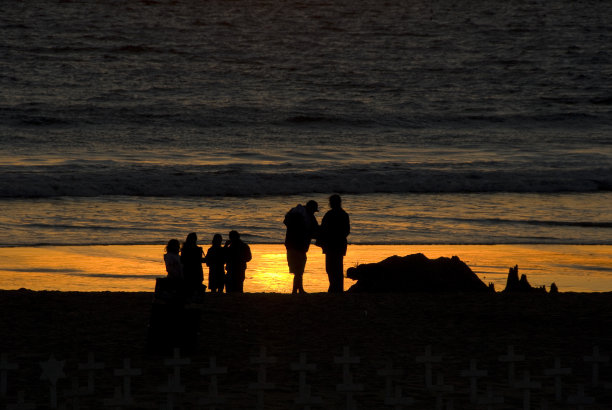 福斯盖特2图片下载