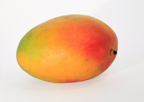 白色背景下的水果特写镜头图片下载