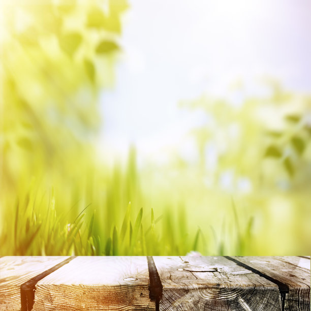 美丽的夏日午后，抽象的环境背景图片下载