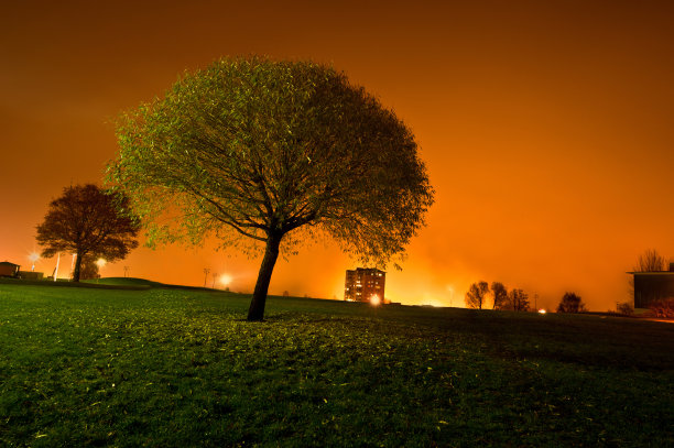 公园@夜图片下载