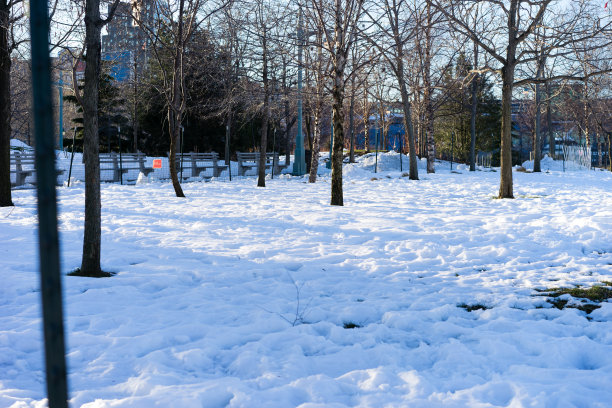 雪在纽约图片下载