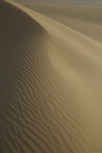 撒哈拉沙漠的沙丘图片下载