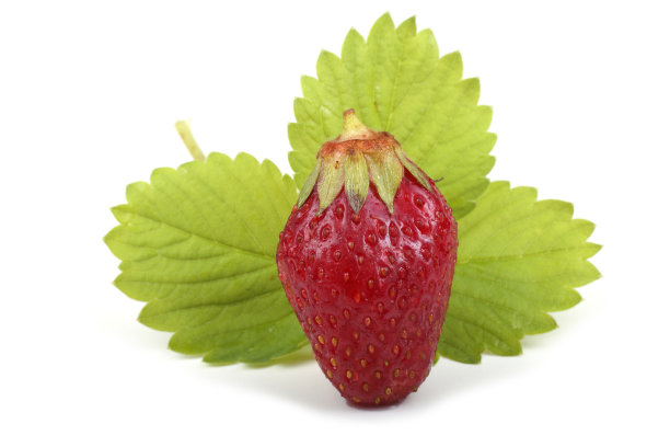 草莓和叶图片下载