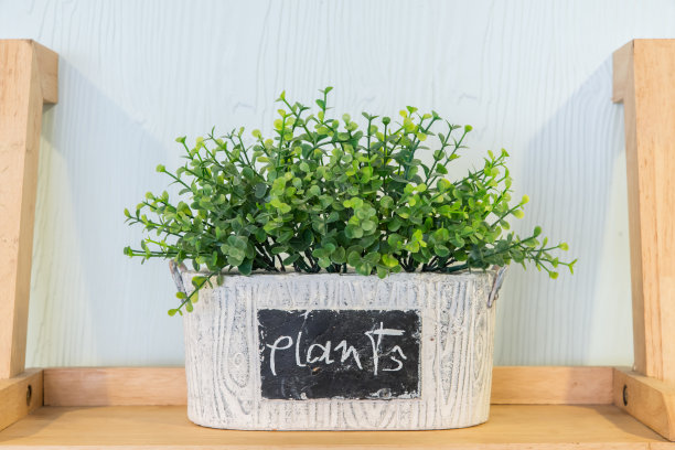 木架上的花盆里的草图片下载