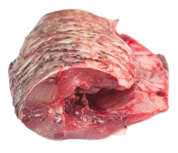 一块鱼肉图片下载