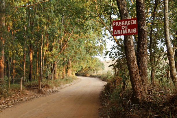 动物通道标志图片下载