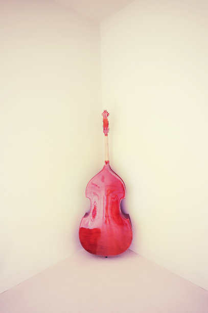 低音提琴图片下载