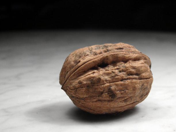 核桃在大理石图片下载