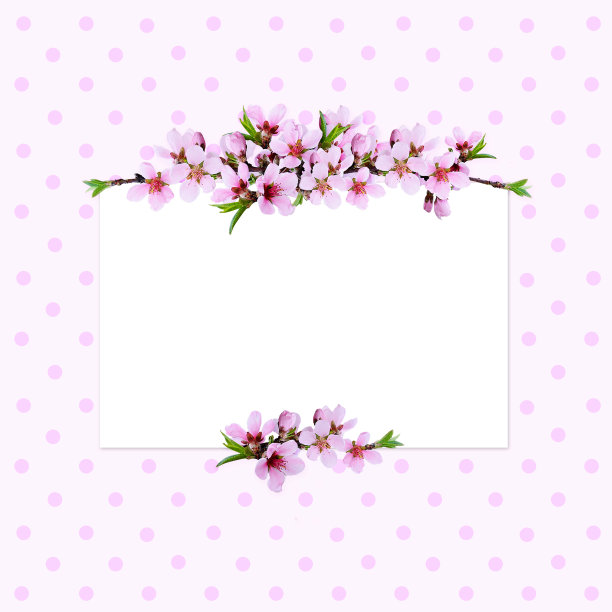 桃红细枝线排列和一张卡片图片下载