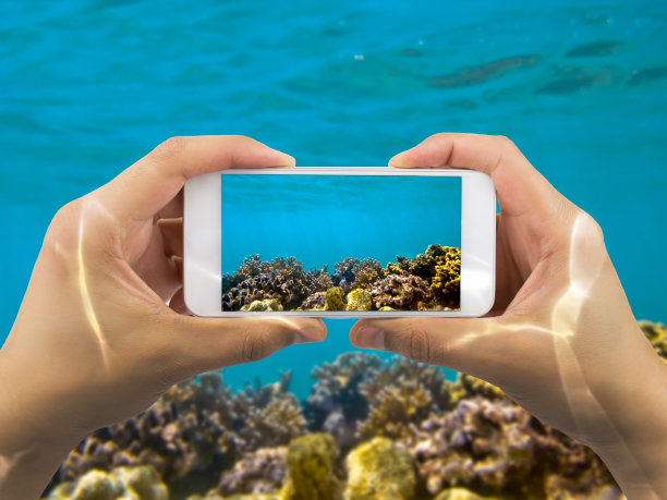 在红海下拍照图片下载