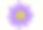 紫莲花插图图片下载
