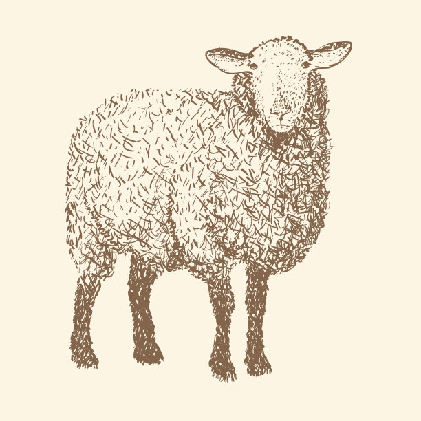 矢量插图雕刻羊，孤立的设计对象，草图图片下载