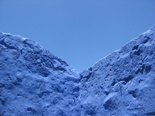 冰原与动物图片下载