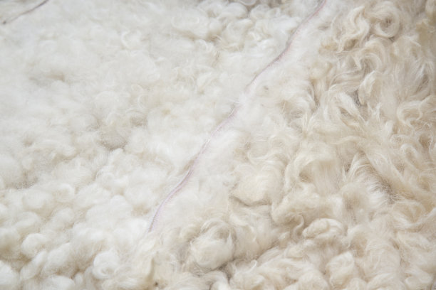一个白色染色羊皮地毯的特写作为背景。图片下载