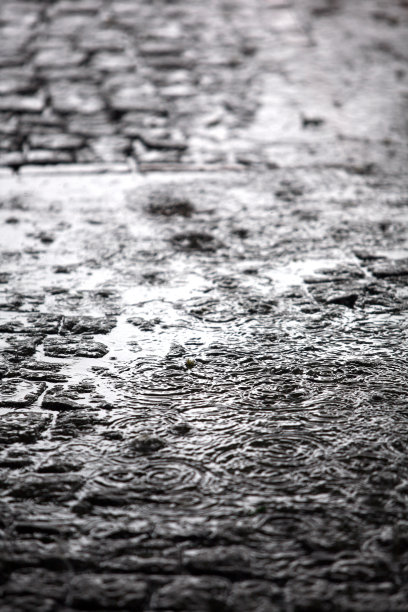 美丽的雨背景图片下载