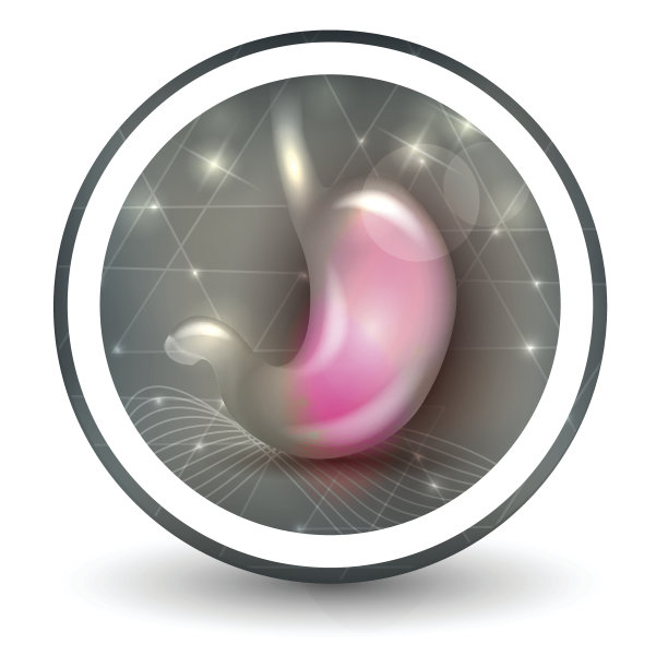 胃图标图片下载