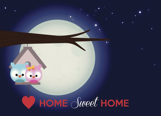 满月星空下的猫头鹰图片下载