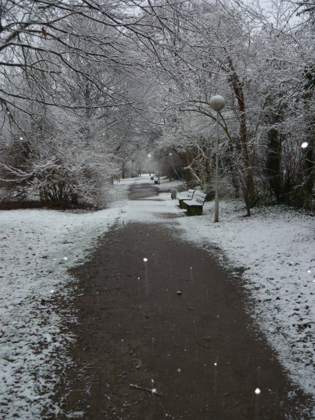小路上刚下过雪图片下载