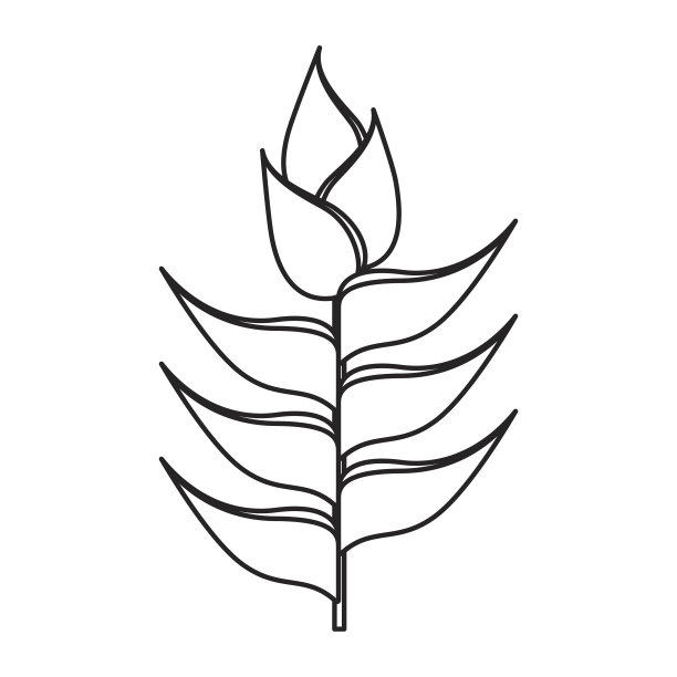 可爱的花朵装饰图标图片下载