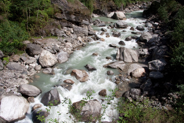 尼泊尔森林溪流图片下载