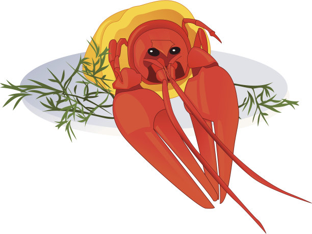 癌症在菜图片下载