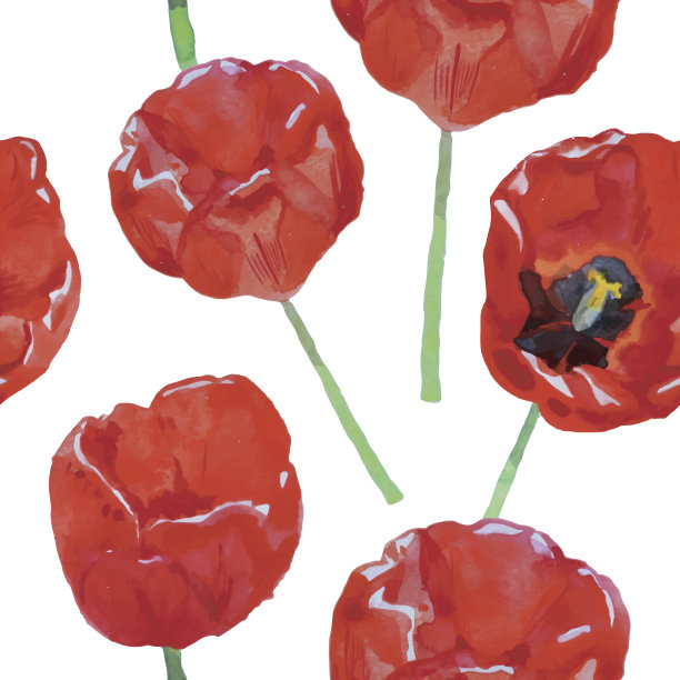 无缝图案的郁金香水彩图片下载