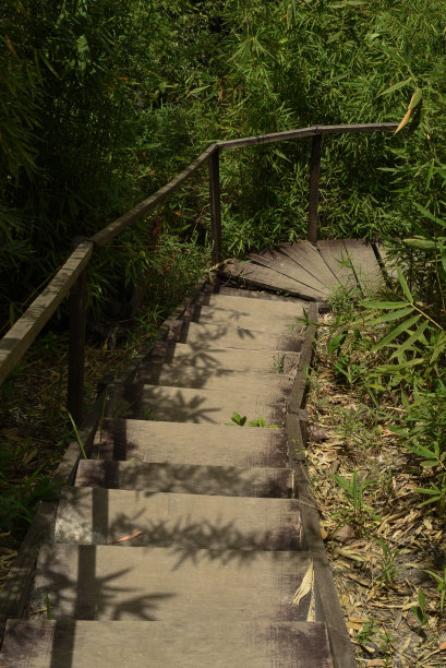 戈亚斯-巴西图片下载