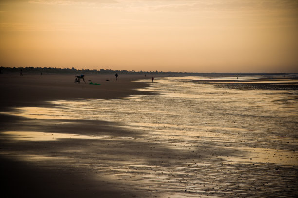 海滩上的黎明图片下载