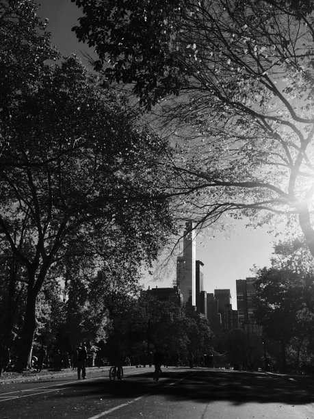 中央公园图片下载