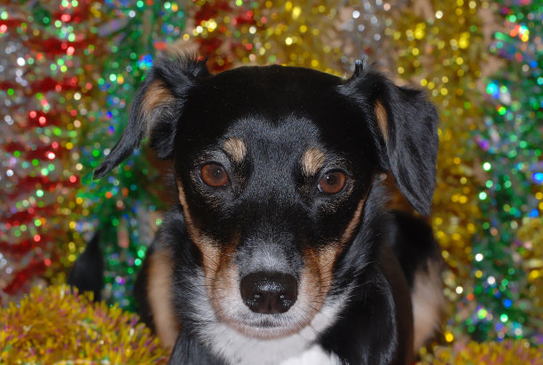 假日无用的人图片下载