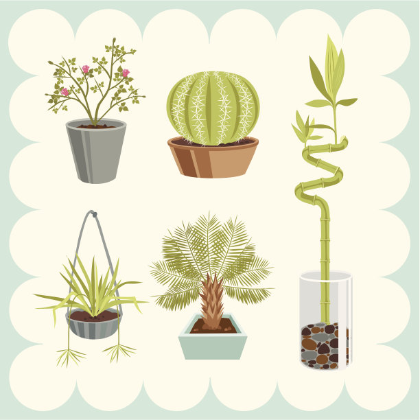 室内植物插图图片下载