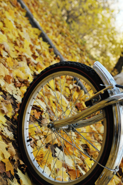 自行车车轮图片下载