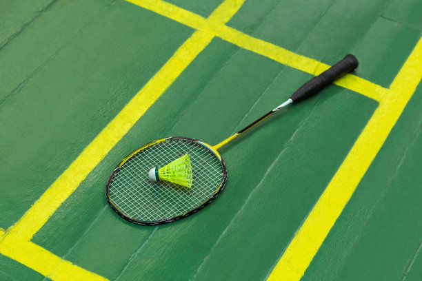 羽毛球拍和羽毛球图片下载