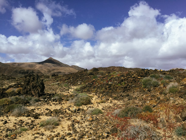 美丽的景色俯瞰生锈的红色沙漠，遥远的山脉在富埃特文图拉岛，加那利斯，西班牙图片下载