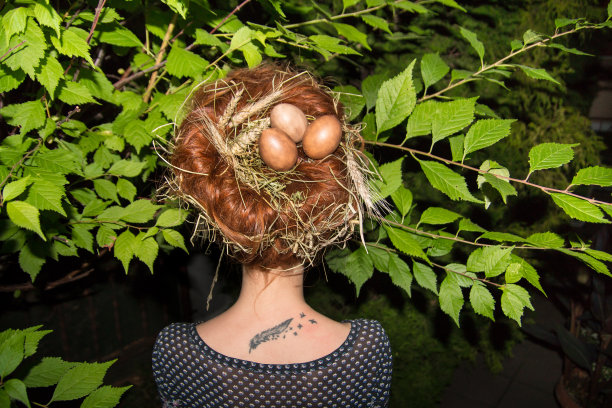 头发上有燕窝的女人图片下载